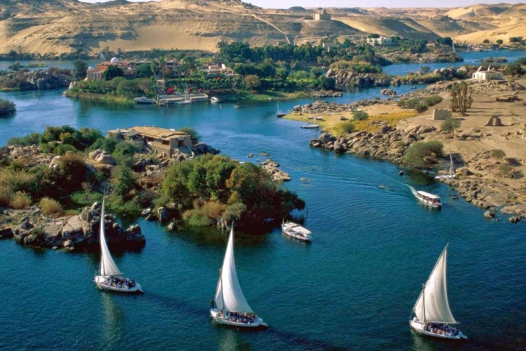 احتفالات مصر صورة من صور التعايش السلمى