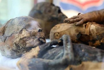 الكشف عن مقبرة مزدوجة لرجل و زوجته “عازفة الصلاصل” تعود للعصر البطلمي بسوهاج