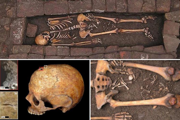 الكشف عن هيكل عظمي نادر لامرأة