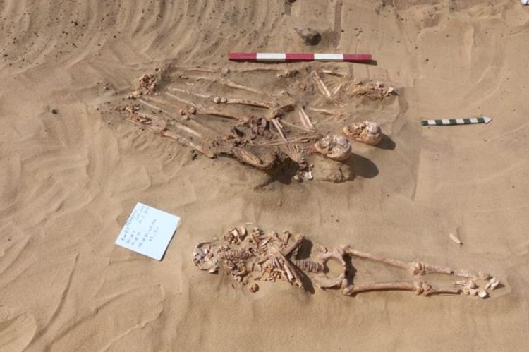 بالصور .. العثور على تابوت من الحجر الجيري به مومياء ورقائق ذهبيه بمنطقة آثار قويسنا