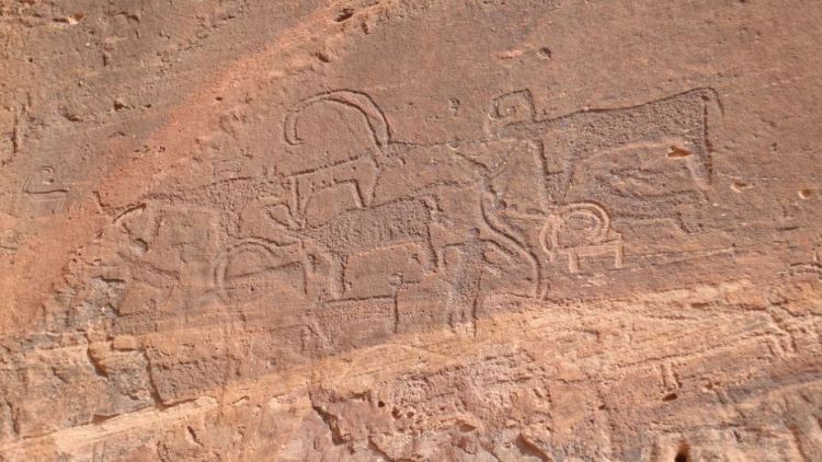 العثور على 16 لوحة صخرية تعود لـ 3500 عام في شمال غربي الصين