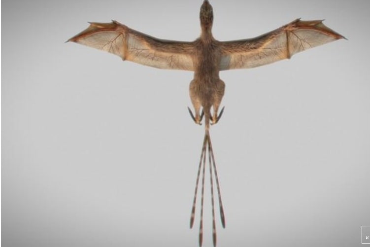 العثور على أحفورة لديناصور بجناحين كالخفاش تعود لأكثر من 163 مليون سنة بالصين