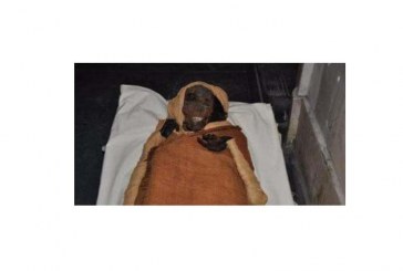 رسالة من الملك “سقنن رع تاعا الثانى” كرامتى أمانة فى اعناقكم