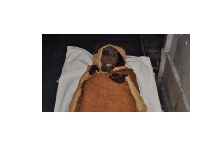 رسالة من الملك