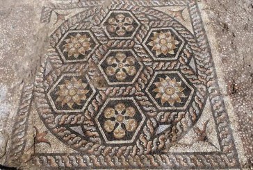 وزارة الاثار: فسيفساء كوم الدكة ضمن سيناريو العرض المتحفي الجديد للمتحف اليوناني الروماني بالاسكندرية