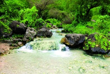 الإمارات تشارك في المنتدى العربي الأول للسياحة بصلالة