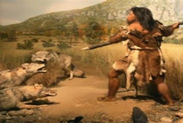 اكتشاف 26 موقعًا للنشاط البشري بعصر ما قبل التاريخ في هضبة تشينغهاي-التبت