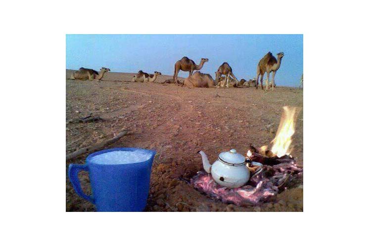 المطابقة بين الأطلال والمواهيم بقلم : مصطفي فنوش