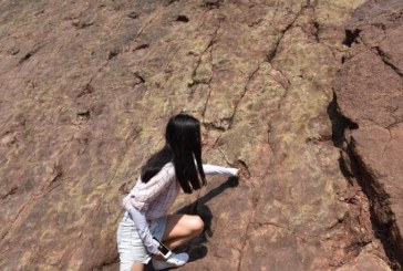 اكتشاف آثار أقدام ديناصورات تعود لـ 100 مليون عام في الصين