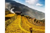 Vietnam Now: Tourism campaign launched with photo contest