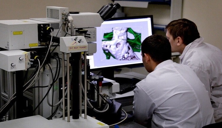 علماء: دماغ الانسان