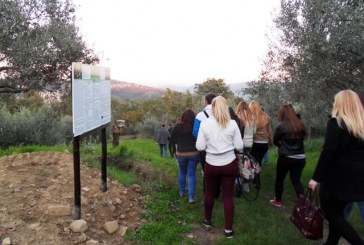 سياحة سلوفينيا ترحب بالسياح من الشرق الأوسط للتعرف على صناعة زيت الزيتون