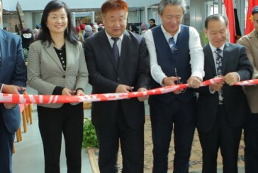 افتتاح المعرض الصيني للنحت على الصخور بمكتبة الإسكندرية