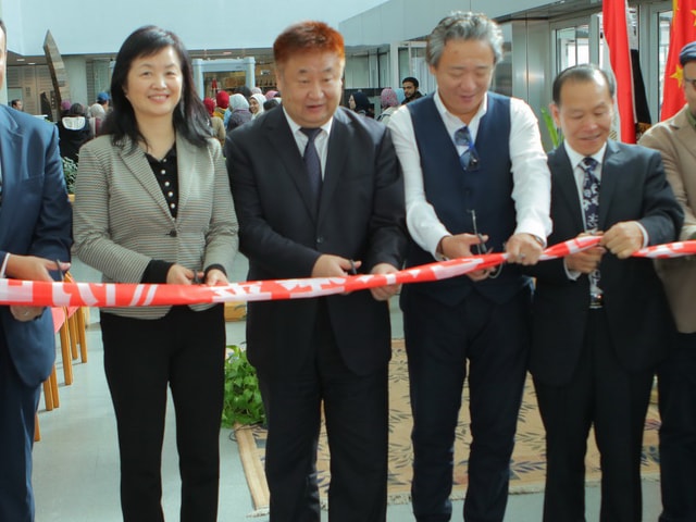 افتتاح المعرض الصيني للنحت على الصخور بمكتبة الإسكندرية