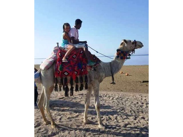 السياحة الداخلية على رأسنا... حمادة بدران