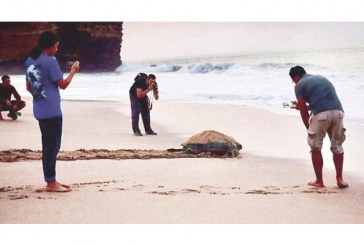 سياحة عمان : 70 ألف سائح للمتحف العلمي في نيابة رأس الحد بولاية صور بنهاية عام 2019