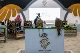 تهيئة مهرجان الصقور في الحدود الشمالية كمنتج سياحي يجذب الحركة الخليجية والدولية