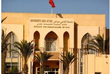 مواجهة كورونا : خلية للإنصات والدعم النفسي والتربوي عن بعد للأسرة المغربية يطلقها قسم علم النفس بكلية الآداب بمراكش