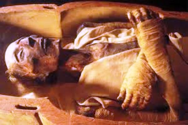 جهات دولية معينة تروج لفكرة أن رمسيس الثانى هو فرعون موسي الذي مات غريقا..والشيخ علي جمعة لايملك دليل واحد..!!