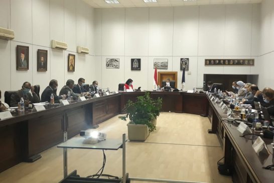 نصف مليون جنيه تقدمها غرفة الفنادق لدعم أصحاب الفلايك والحناطير والدواب في الاقصر وأسوان