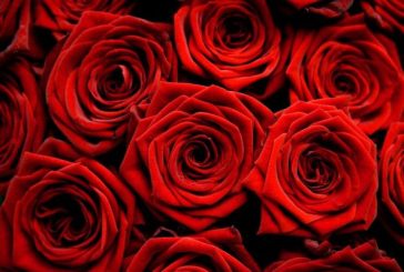 Sheraton Montazah Hotel is your perfect Valentine's getaway