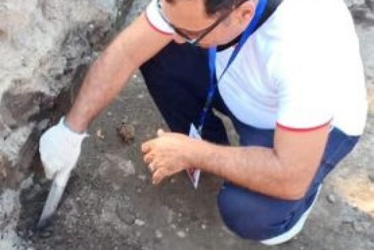 5e6ff17d-1aae-4200-9184-c920615f7a99