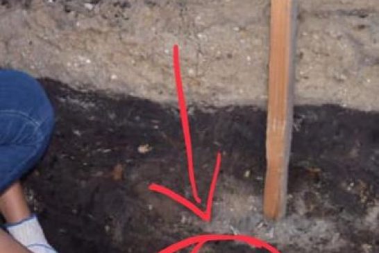 b01ebb36-4560-479c-bac8-e60a8bb4cdfd