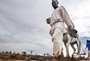 New FAO report highlights urgent need to restore Africa’s degraded landscape