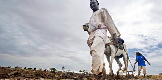 New FAO report highlights urgent need to restore Africa’s degraded landscape