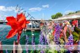 Mindful Travel in The Heart of Geneva’s Most Authentic Experiences With the ‘Swisstainable’ Programme