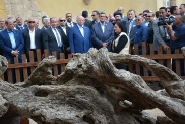 وزيرا السياحة والتنمية ومحافظ القاهرة يفتتحون منطقة شجرة مريم إحدى محطات رحلة العائلة المقدسة .. البوم صور