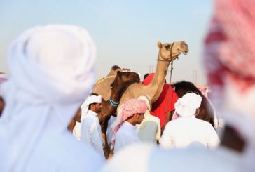 تعرف علي : منطقة سويحان .. مقومات بيئية وسياحية تبهر زوار مهرجان الظفرة بأبوظبي