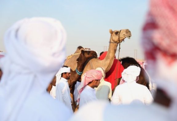 تعرف علي : منطقة سويحان .. مقومات بيئية وسياحية تبهر زوار مهرجان الظفرة بأبوظبي
